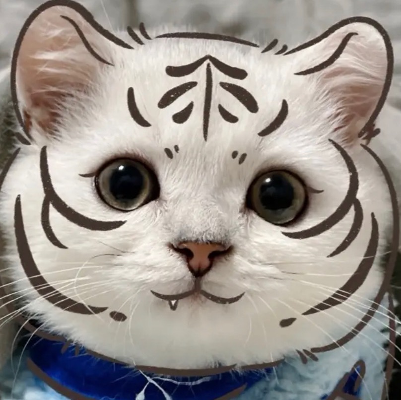 评分